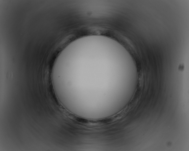 X0000101950314200807171139