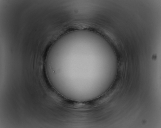 X0000101950315200807171139