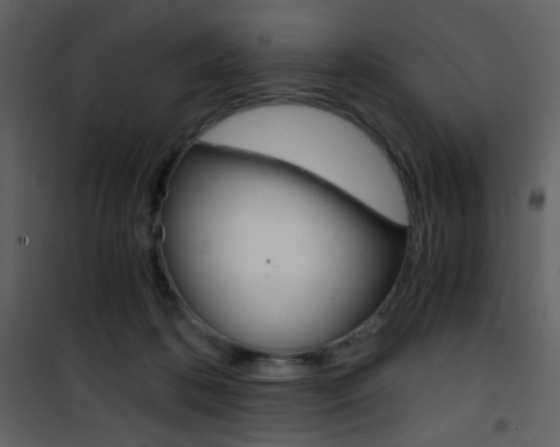 X0000101950316200807171139