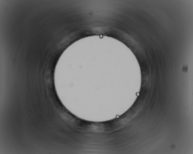 X0000101950317200807171139