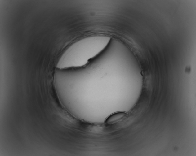 X0000101950318200807171139