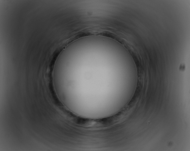 X0000101950319200807171139