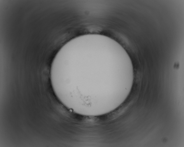 X0000101950321200807171139