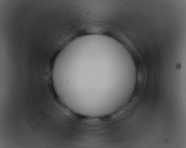 X0000101950322200807171139