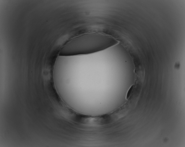 X0000101950323200807171139