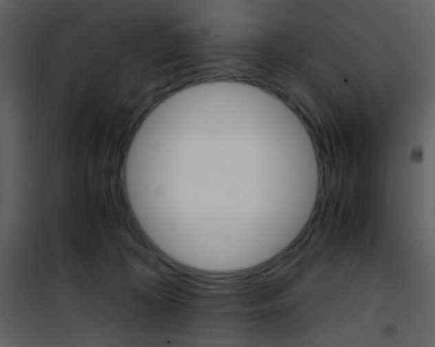 X0000101950324200807171139