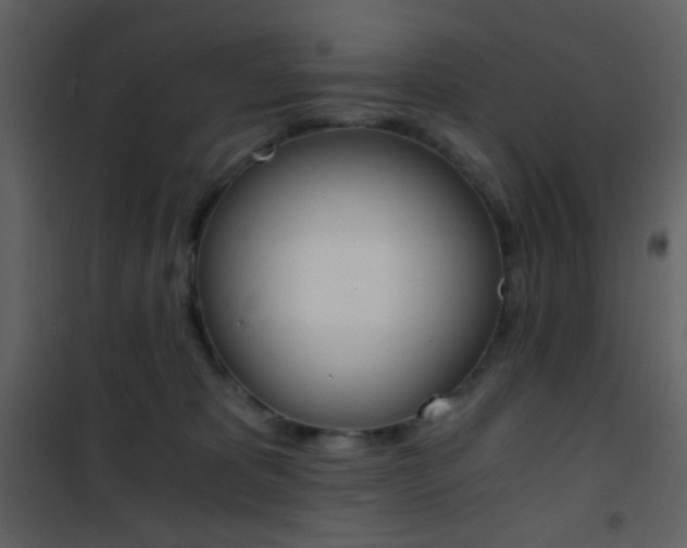 X0000101950325200807171139