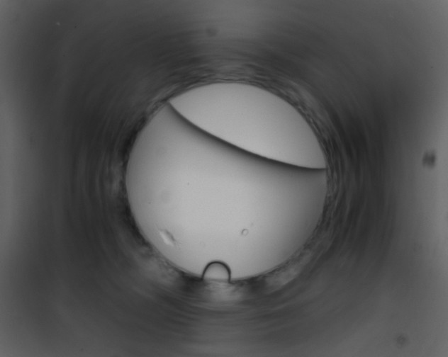 X0000101950326200807171139