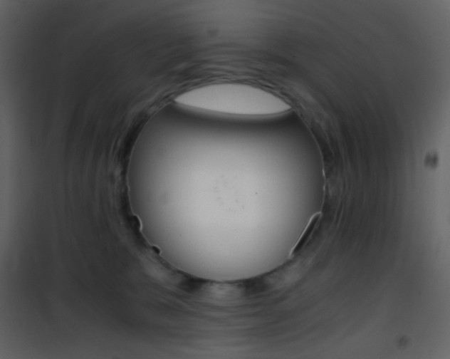 X0000101950327200807171139