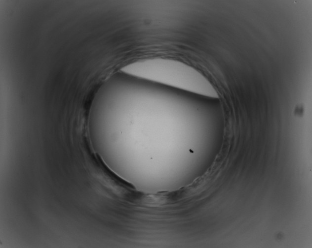 X0000101950328200807171139