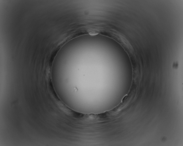 X0000101950329200807171139