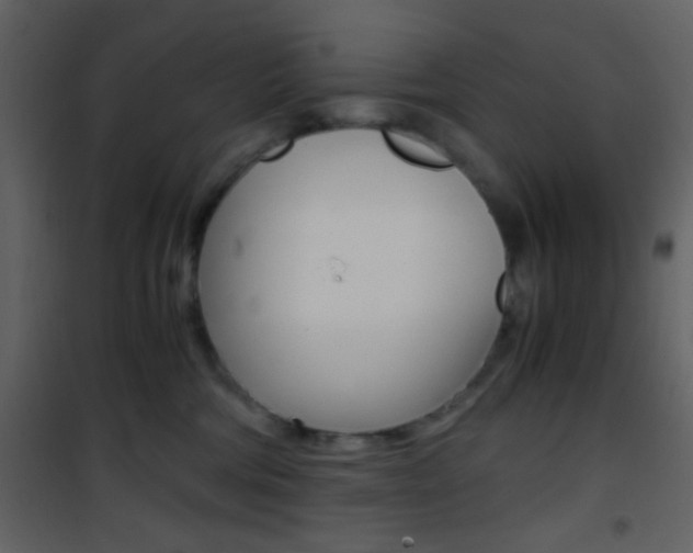 X0000101950330200807171139