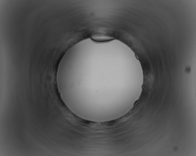X0000101950331200807171139