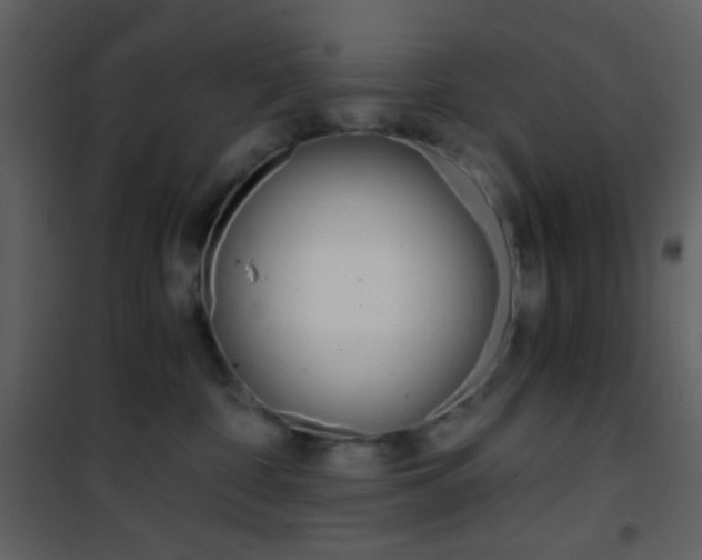 X0000101950332200807171139