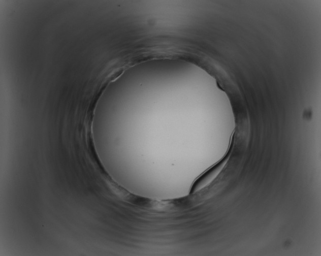 X0000101950333200807171139
