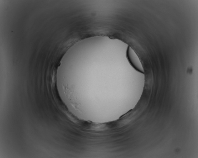 X0000101950334200807171139