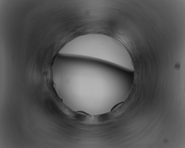 X0000101950335200807171139