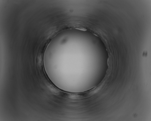 X0000101950336200807171139