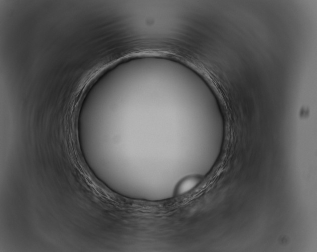 X0000101950337200807171138