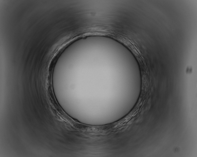 X0000101950338200807171138