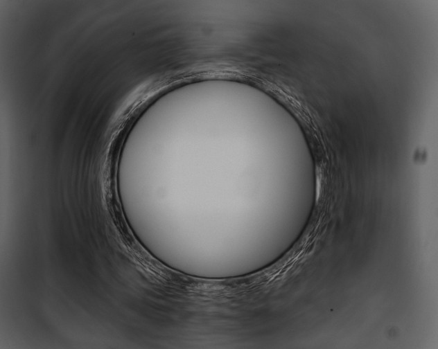 X0000101950339200807171138