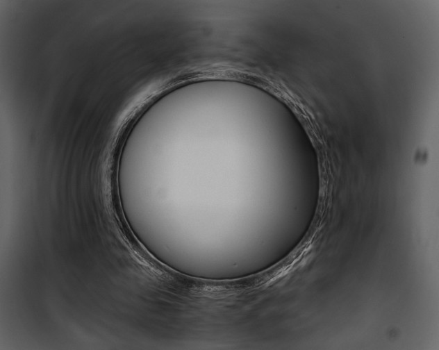 X0000101950341200807171138