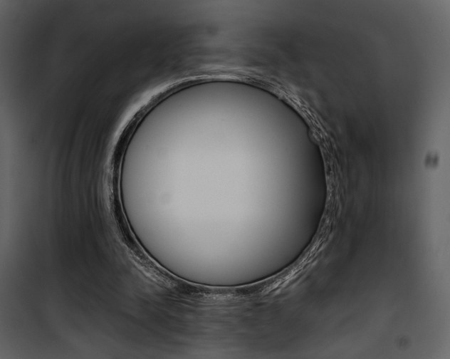 X0000101950342200807171138