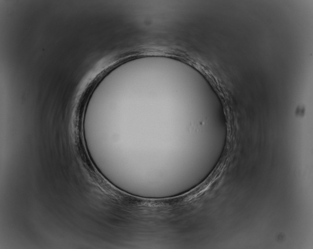 X0000101950343200807171138
