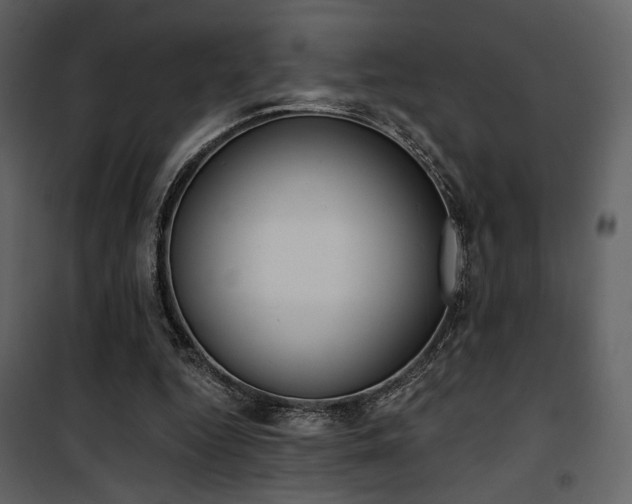X0000101950344200807171138