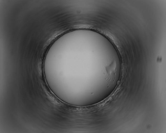 X0000101950345200807171138