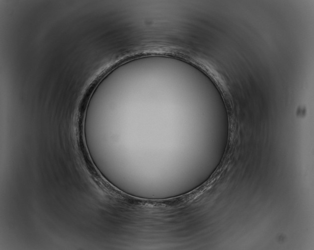 X0000101950346200807171138