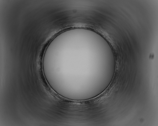 X0000101950347200807171138
