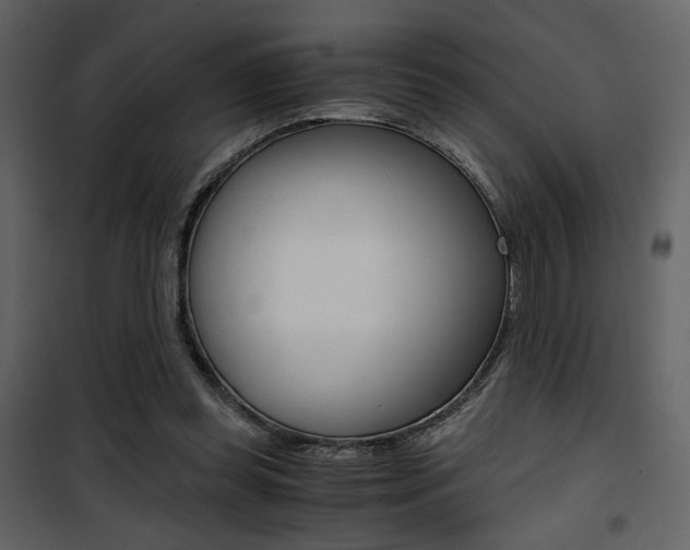 X0000101950349200807171138