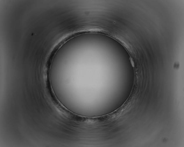 X0000101950350200807171138