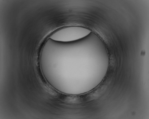 X0000101950351200807171138