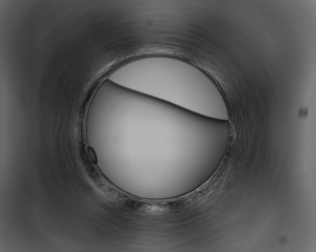 X0000101950352200807171138