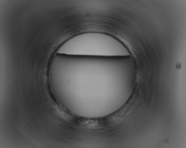 X0000101950353200807171138