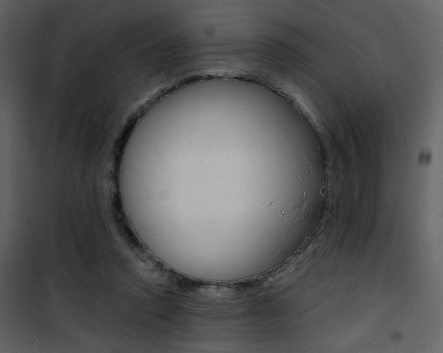 X0000101950354200807171138