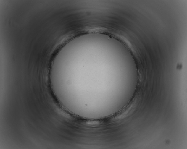 X0000101950357200807171138