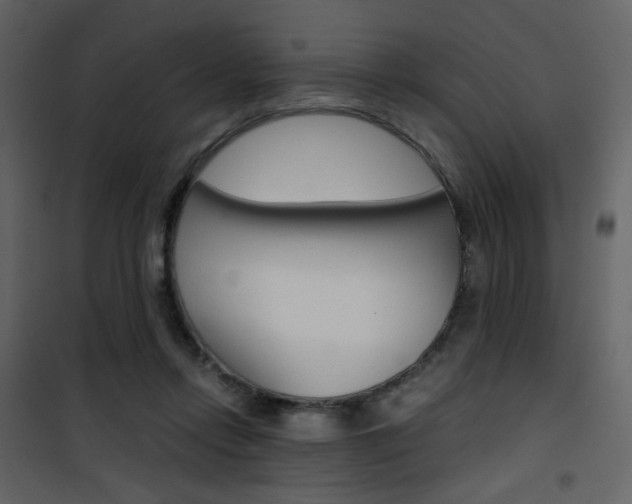 X0000101950358200807171138