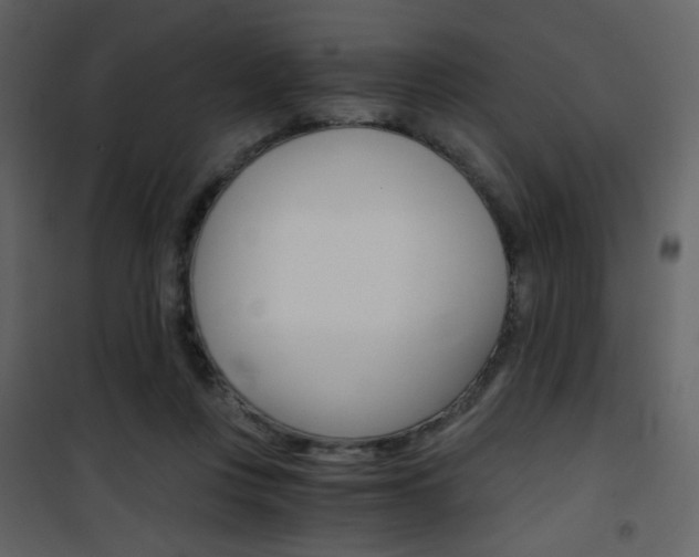 X0000101950359200807171138