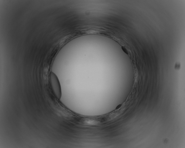 X0000101950360200807171138