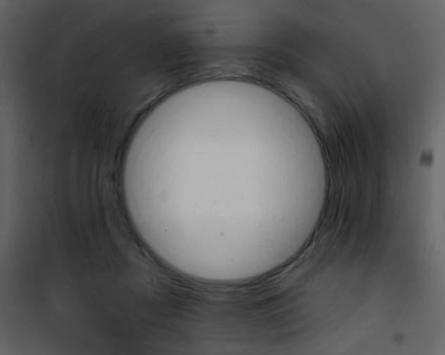 X0000101950362200807171138