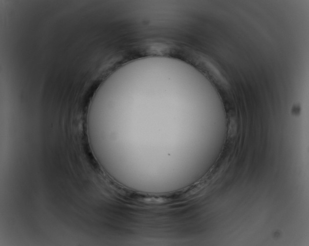 X0000101950363200807171138