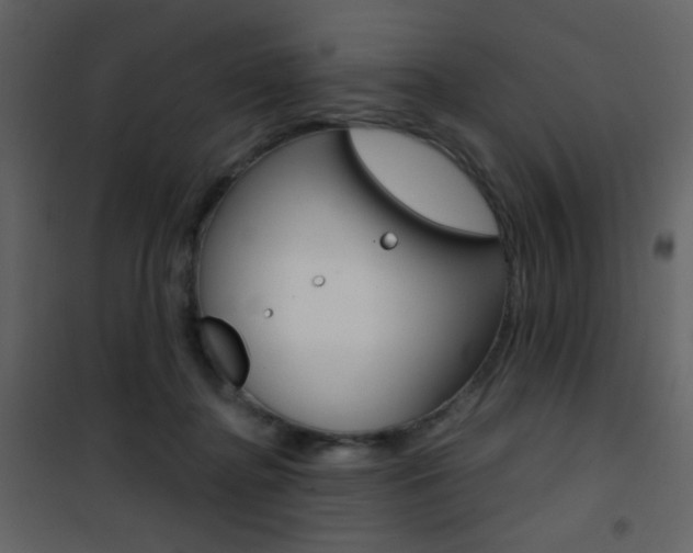 X0000101950364200807171138