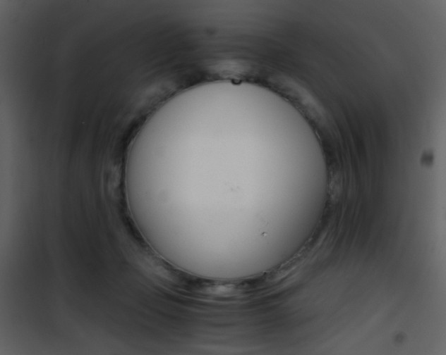 X0000101950365200807171138