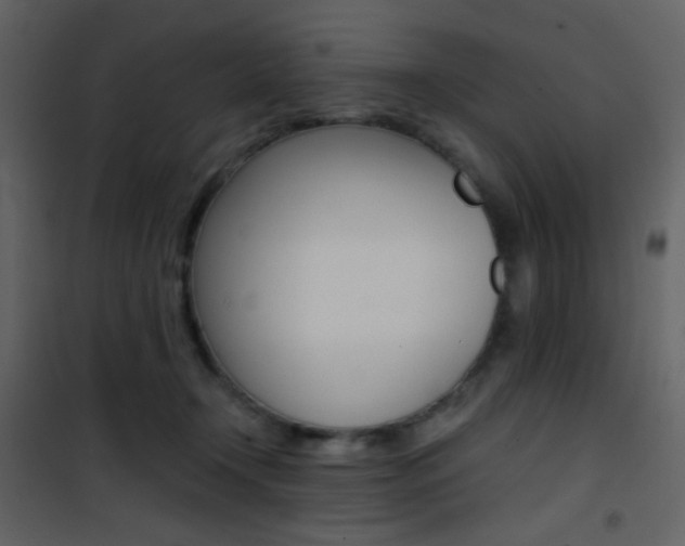 X0000101950366200807171138