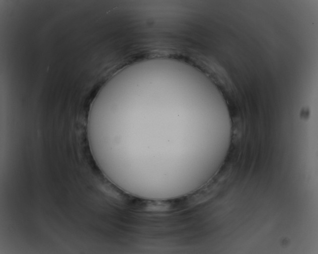 X0000101950369200807171138