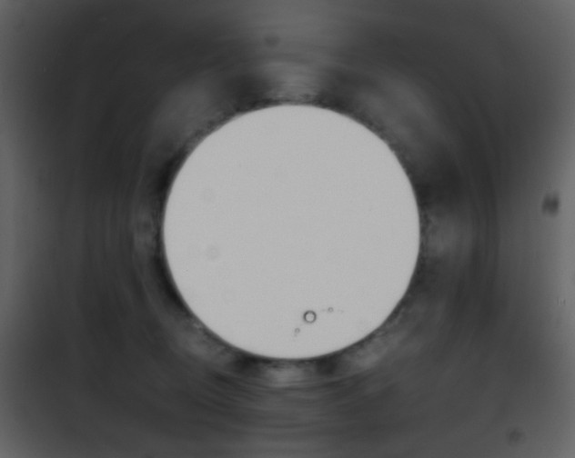 X0000101950370200807171138