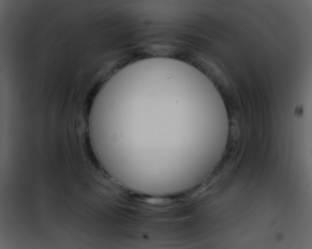 X0000101950371200807171138